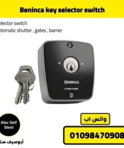 Front view of Beninca key selector switch with metal key for gates, shutters, and barriers.