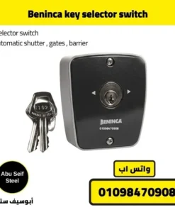 Beninca key switch front view with keys placed beside the unit.