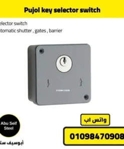 Angled front view of Pujol key selector switch for automatic shutter and gate control.