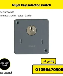 Front flat view of Pujol key selector switch with up down direction marks.