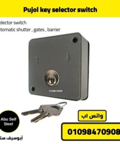 Pujol key switch angled view with metal keys placed in front of the unit.