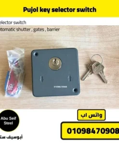 Pujol key switch on table with keys and wiring accessories.