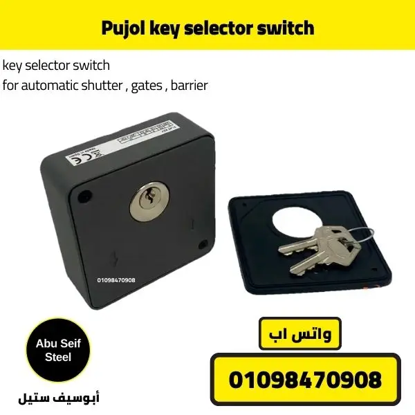 Pujol key switch with mounting base plate and keys for wall installation.