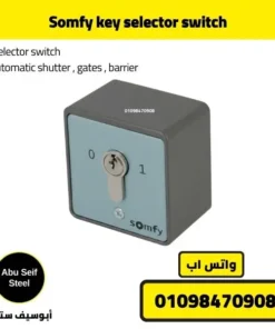 Angled view of Somfy key selector switch with key inserted.