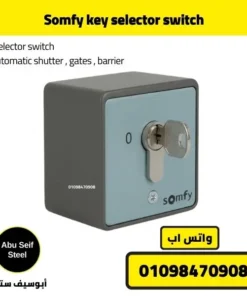 Close product view of Somfy key selector switch with key in the lock cylinder.