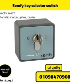 Front view of Somfy key selector switch for automatic shutters, gates, and barriers.