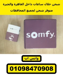 ريسيفر سومفي RTS بمدخل مفتاح لموتور الشيش — Somfy RTS receiver with dry contact 1841102 — الكرتونة مع علبة Keytis 2 — صورة 18