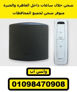 ريسيفر سومفي RTS مع ريموت Situo 1 — الطقم: الريسيفر والريموت | Somfy RTS receiver + Situo 1 remote, receiver and remote