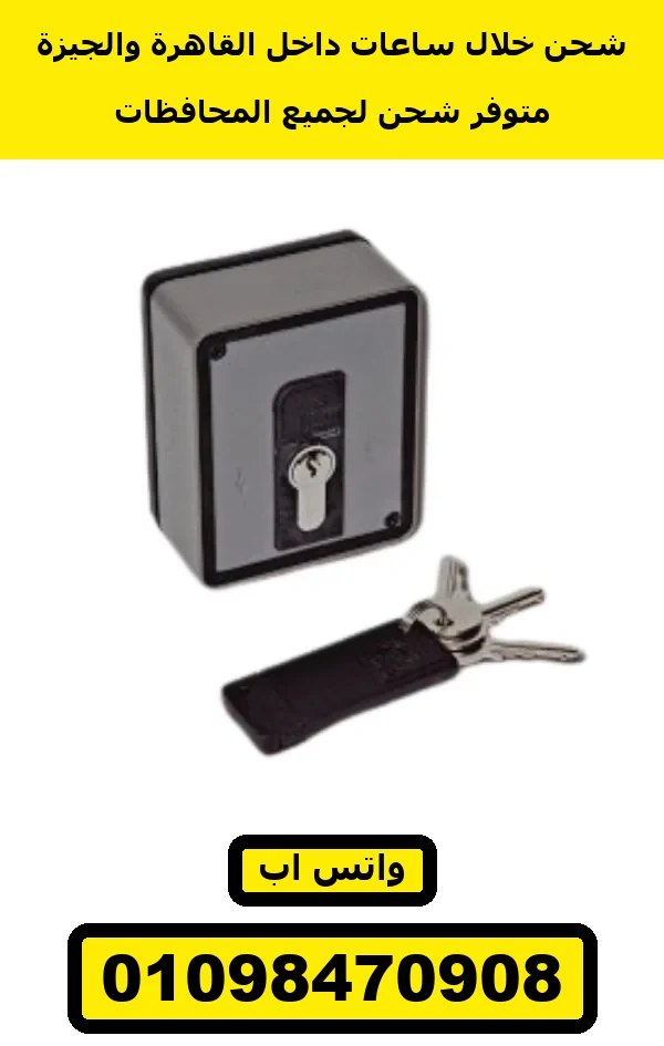 مفتاح-فرامل-موتور-سنتر-علبة-رمادي مفتاح باب أوتوماتيك فرامل للموتور السنتر — key switch with brake release — صورة 3